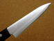 Vegetable knife 120 mm, AUS8 3 layers, Kanetsugu Miyabi Isshin 2001, Japan